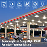 LED Canopy Gas Light  - CGS Series,150W,21000lumens,Selectable Wattage & CCT,100-277V