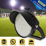 LED Stadium Light  - NCL Series,600W,90000lumens,5000K,277-480V