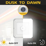 LED Canopy Light  - CPG Series,100W,14000lumens,Selectable Wattage & CCT,100-277V,with Photocell