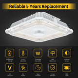 LED Canopy Light  - CPG Series,100W,14000lumens,Selectable Wattage & CCT,100-277V,with Photocell
